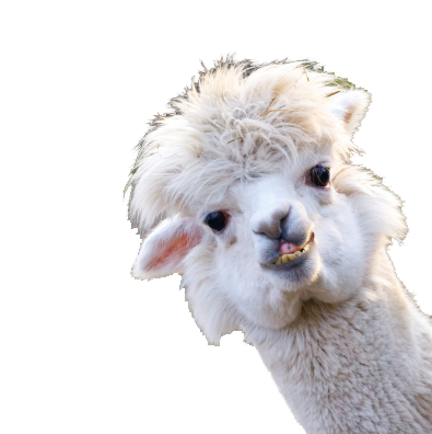 Alpaca starter herd small farm